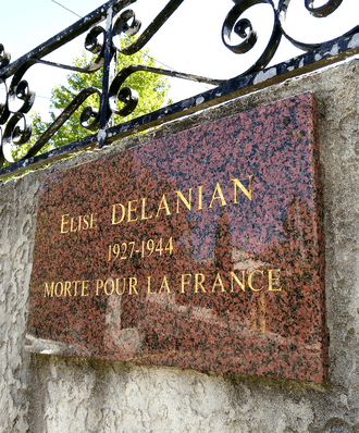 Portrait de Élise Delanian